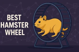 Best Hamster Wheel in Crypto: Break the Yield Loop
